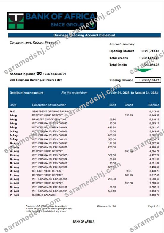 Bank of Africa enterprise account statement Word and PDF template
